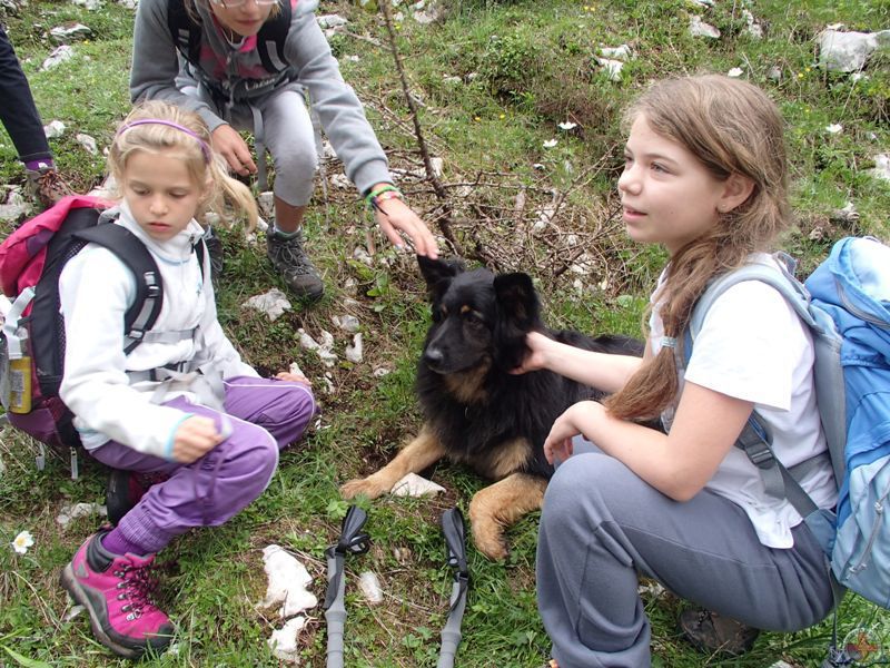 Troi zopet na obisku otrok – junij 2014